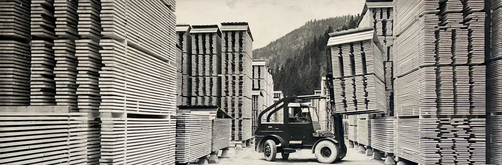 Azienda 1960